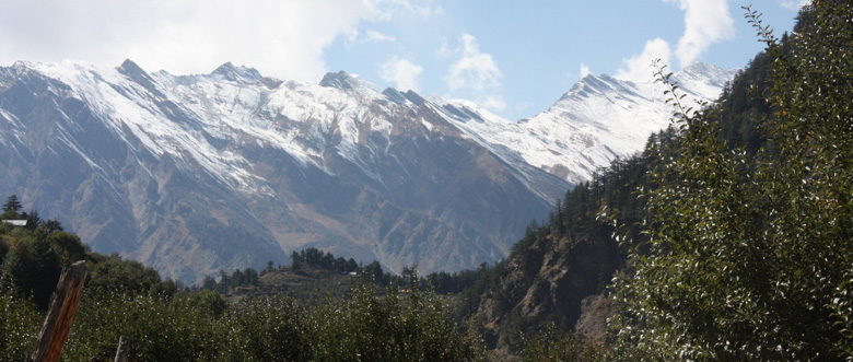 Himalayan View Harsil